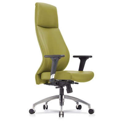 F4 Unique Backrest Office Chair For Longer Sit